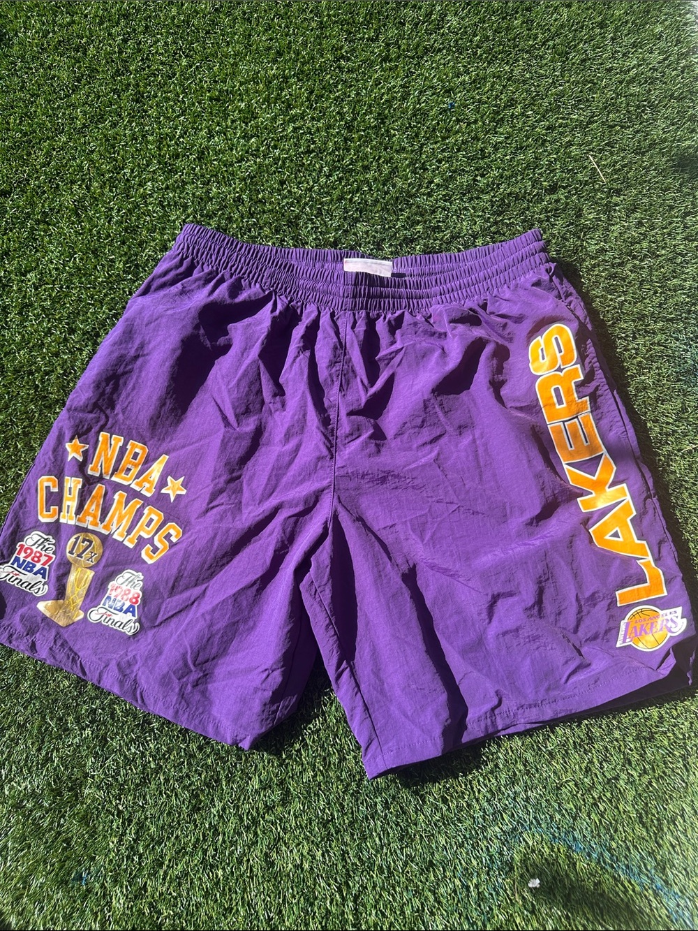 Mitchell & Ness Purple Los Angeles Lakers NBA Champs Shorts